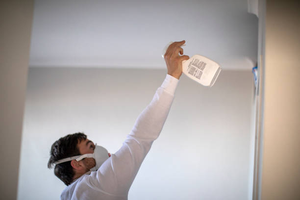 Certified Mold Removal in Albion, PA