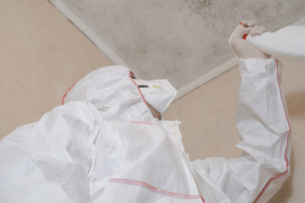 Best Fast Mold Removal  in Albion, PA