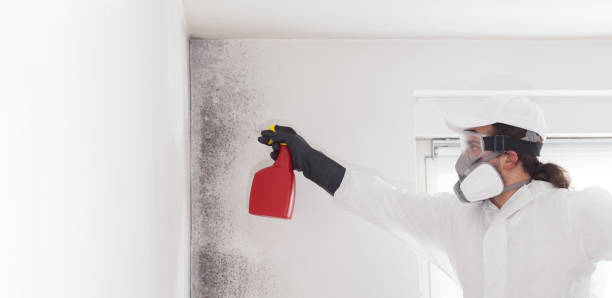 Best Professional Mold Removal  in Albion, PA